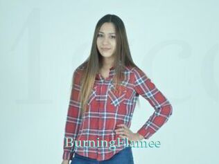 BurningFlamee