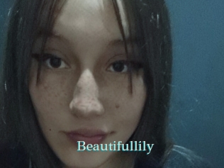 Beautifullily