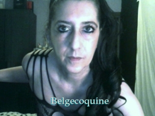 Belgecoquine