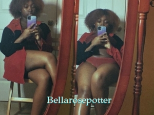 Bellarosepotter