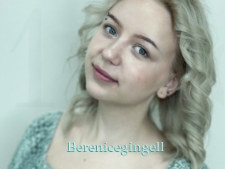 Berenicegingell
