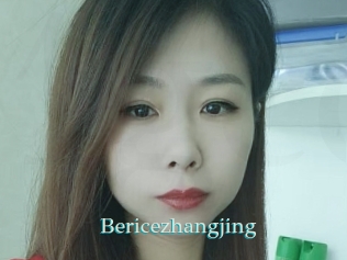 Bericezhangjing