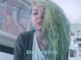 Bluebird0316