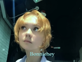 bonniehey 1 grosse cochonne