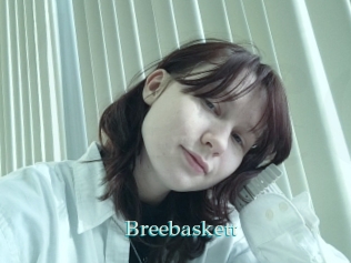 Breebaskett