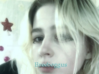 Breeboggus
