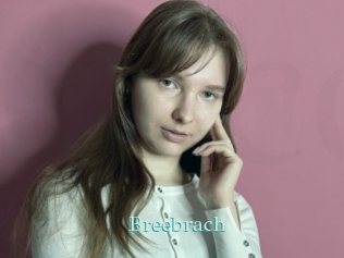 Breebrach