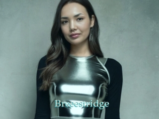Breeestridge