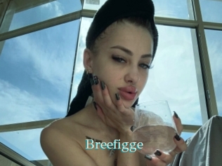 Breefigge