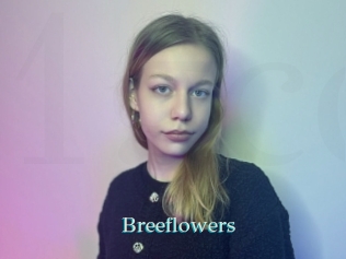Breeflowers
