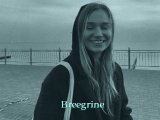 Breegrine