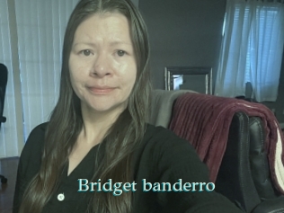 Bridget_banderro