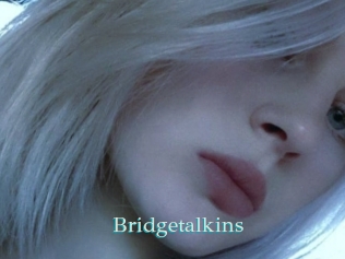 Bridgetalkins