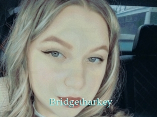Bridgetharkey