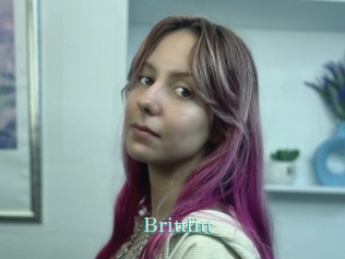 Brittfitt