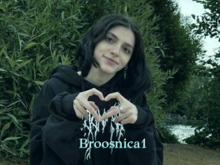 Broosnica1