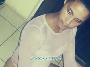 CASEY2004