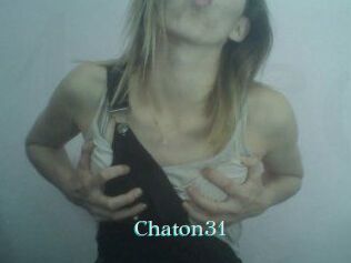 Chaton31