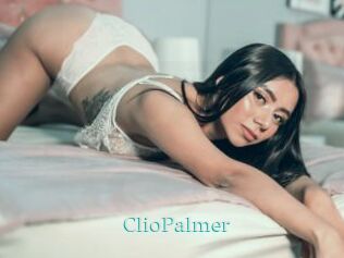 ClioPalmer 1 grosse cochonne
