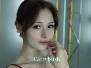 Carrybush