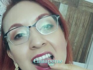 Cataaponte