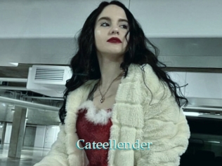 Cateellender