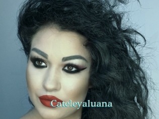 Cateleyaluana
