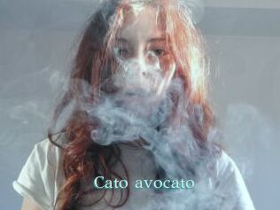 Cato_avocato