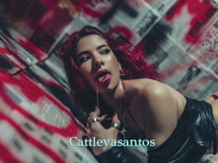 Cattleyasantos