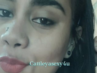 Cattleyasexy4u