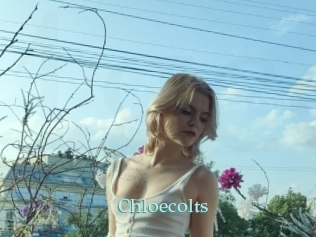 Chloecolts