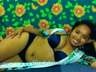 Cindybarnes
