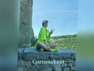 Cornesakeat