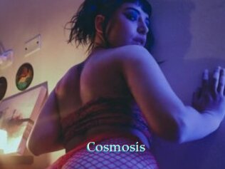 Cosmosis