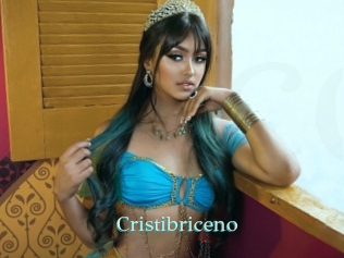 cristibriceno 1 grosse cochonne