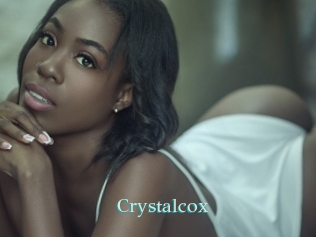 crystalcox 1 grosse cochonne