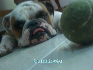 Cumalot4u