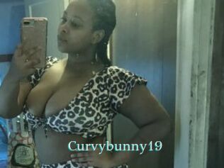 Curvybunny19