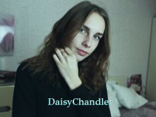 Daisy_Chandler
