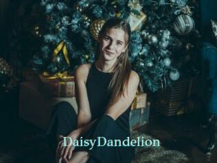 DaisyDandelion