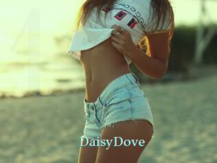 DaisyDove