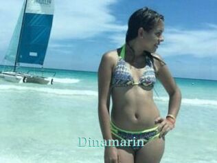 Dinamarin