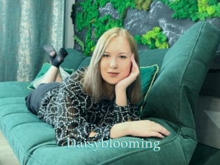 Daisyblooming