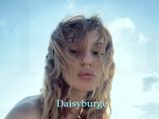 Daisyburge