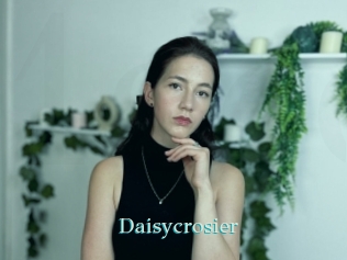 Daisycrosier