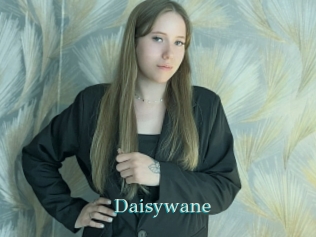 Daisywane