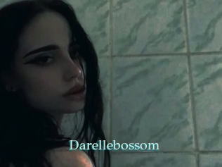 Darellebossom