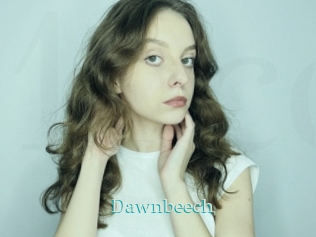 Dawnbeech
