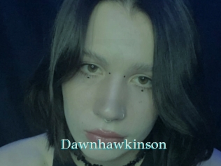 Dawnhawkinson