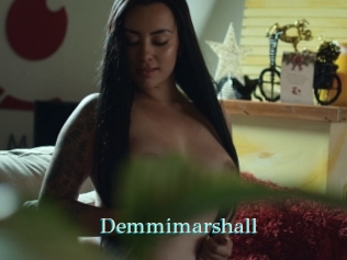 Demmimarshall